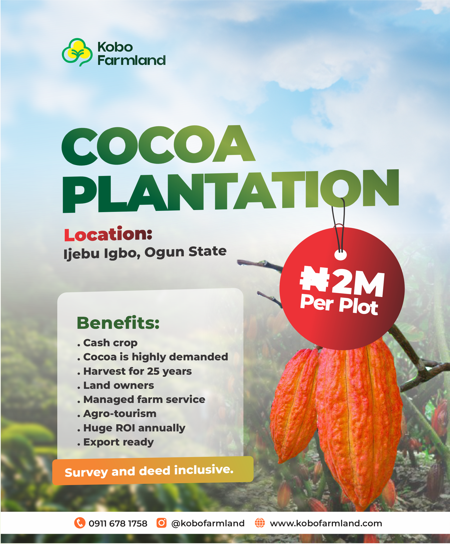 Cocoa Farm City, Odo Agboju
